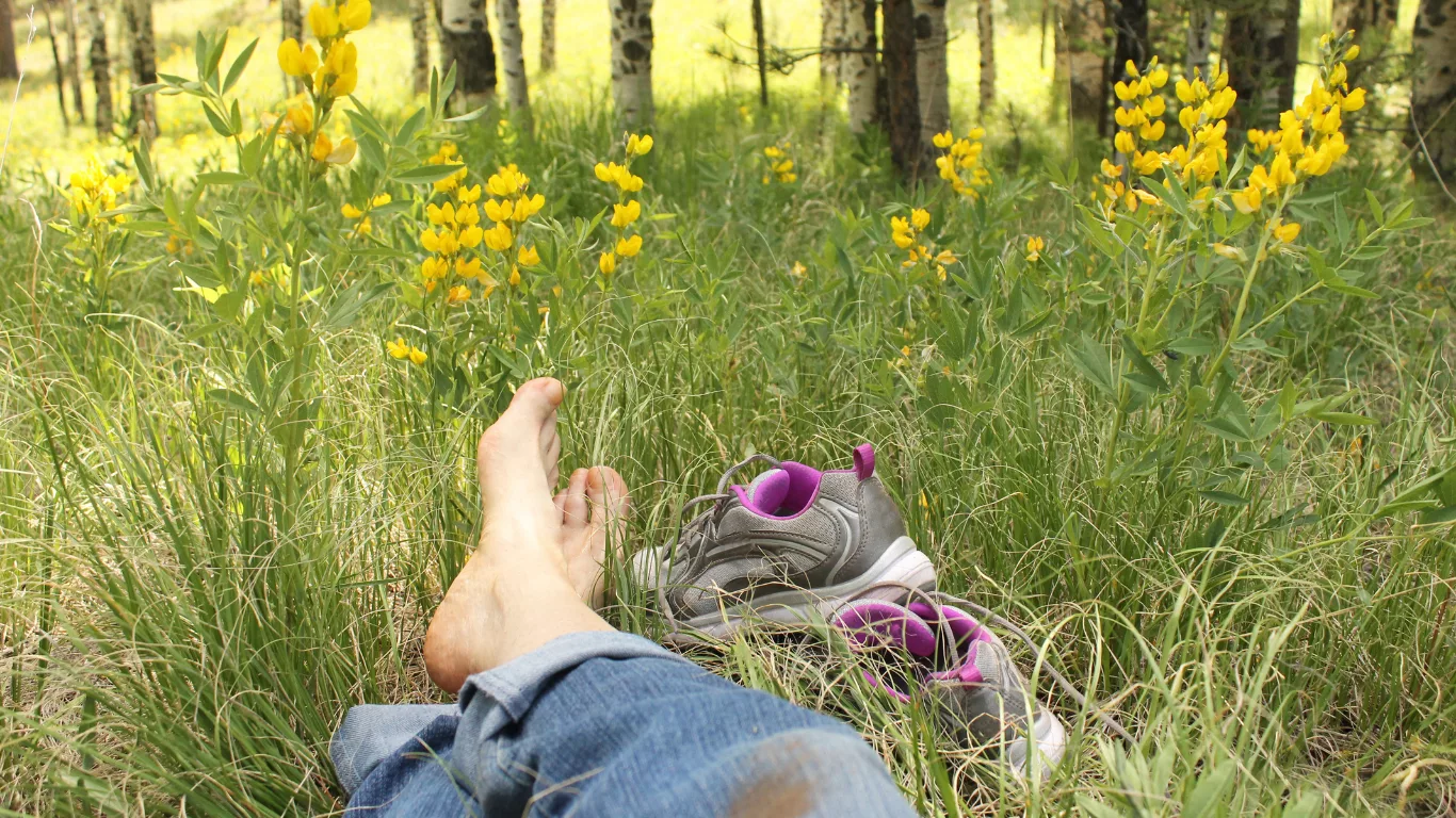 Se reposer